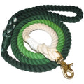 Hand-Dyed Cotton Rope Dog Leash – Ombre Summer Style