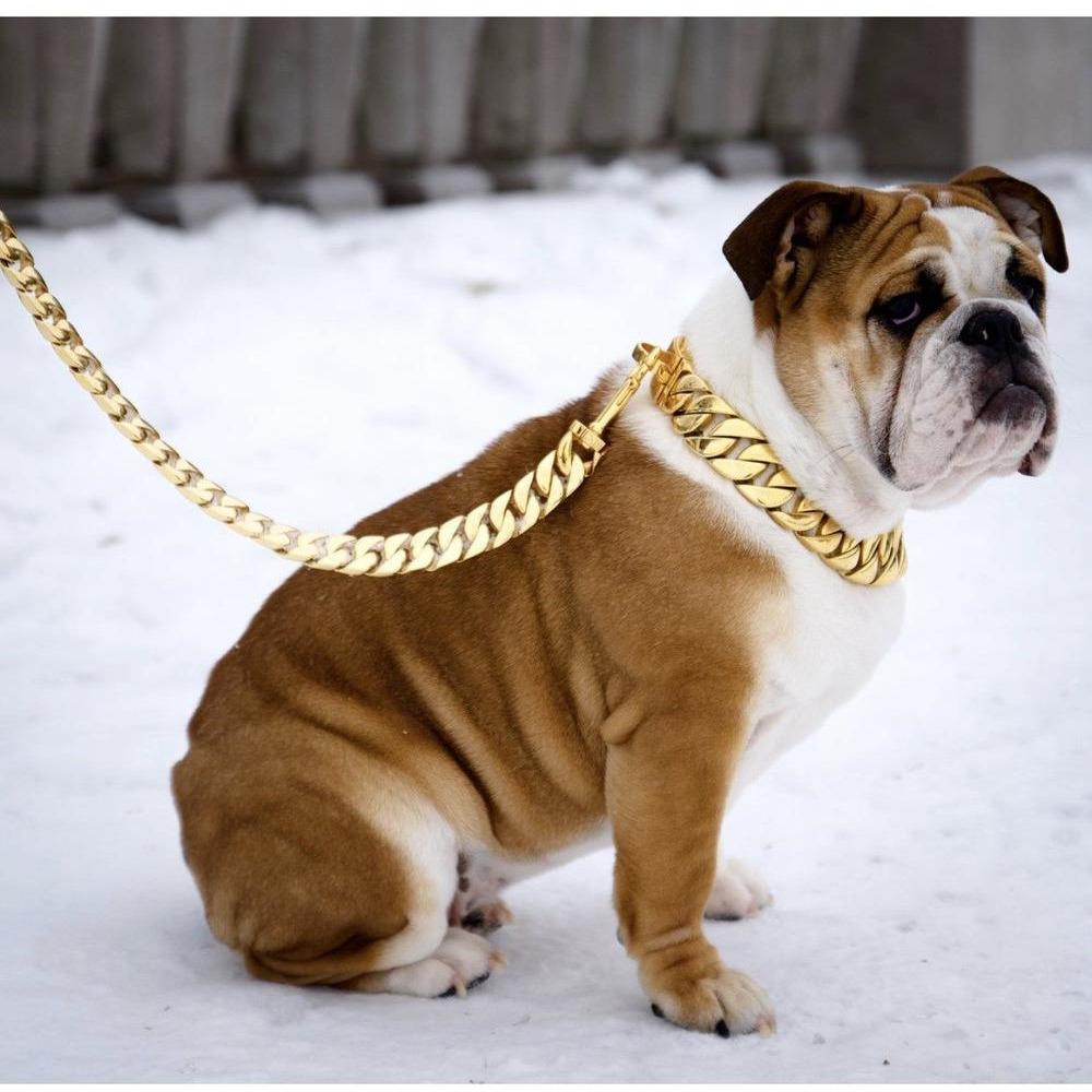 Kilo Cuban Link Gold Dog Leash – Luxury 14K Plated Chain