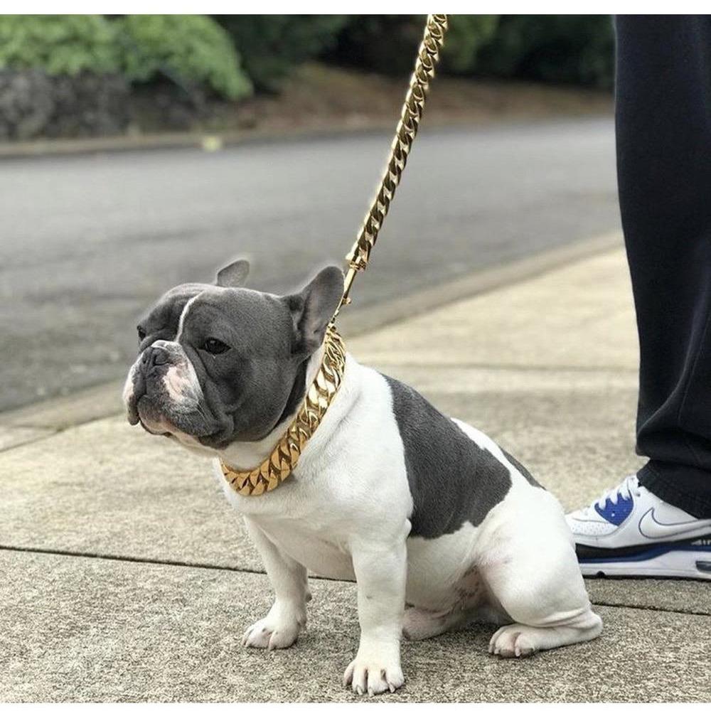 Kilo Cuban Link Gold Dog Leash – Luxury 14K Plated Chain
