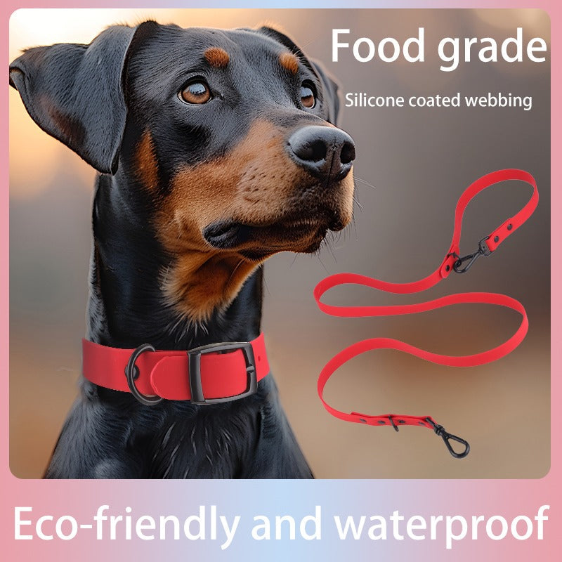 Silicone Collar & Leash Set for Small Pets