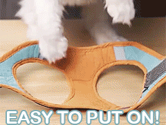 Reflective Escape-Proof Cat Harness & Leash Set
