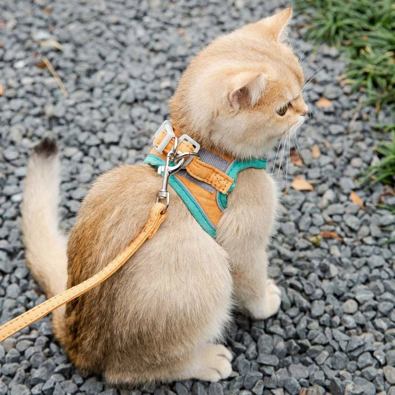 Reflective Escape-Proof Cat Harness & Leash Set