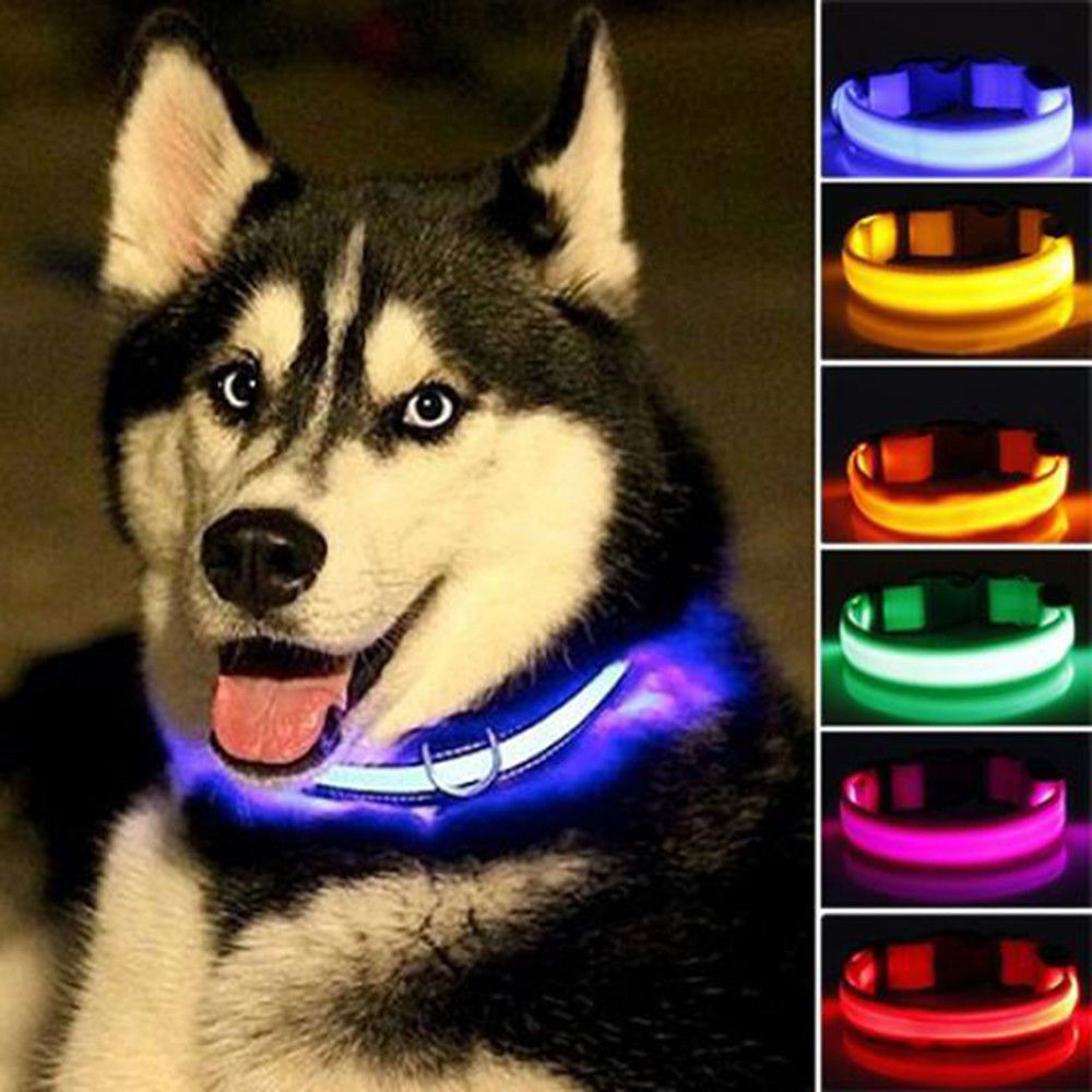LED Light-Up Dog Collar Set – 2-Pack, 3 Light Modes