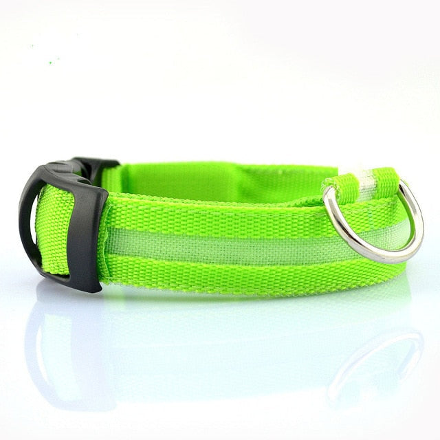 LED Light-Up Dog Collar Set – 2-Pack, 3 Light Modes