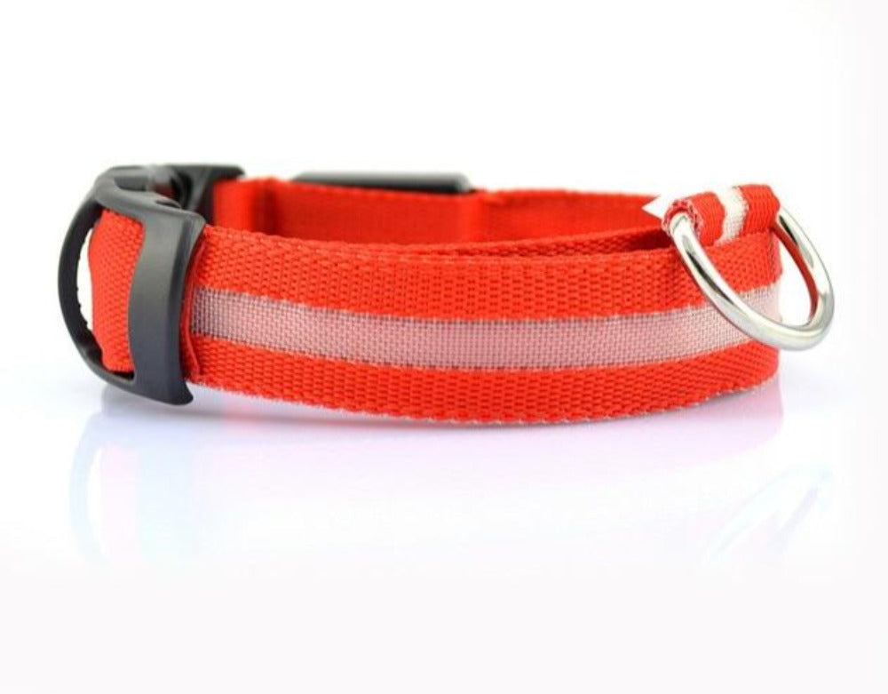 LED Light-Up Dog Collar Set – 2-Pack, 3 Light Modes