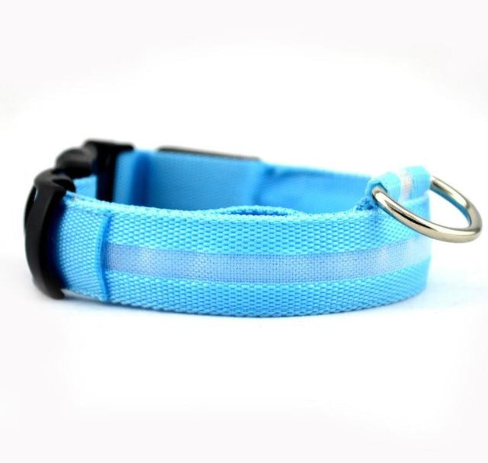 LED Light-Up Dog Collar Set – 2-Pack, 3 Light Modes