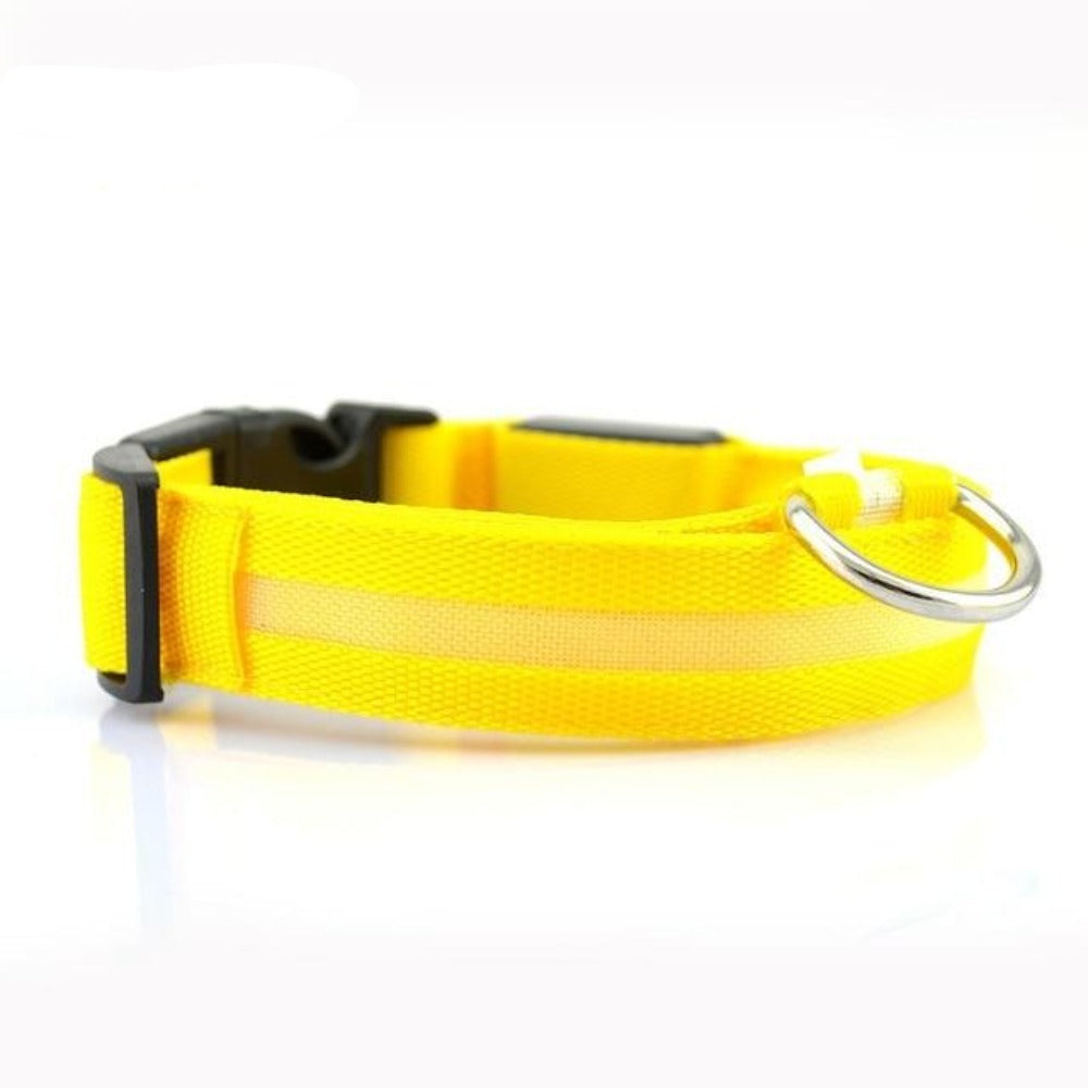 LED Light-Up Dog Collar Set – 2-Pack, 3 Light Modes