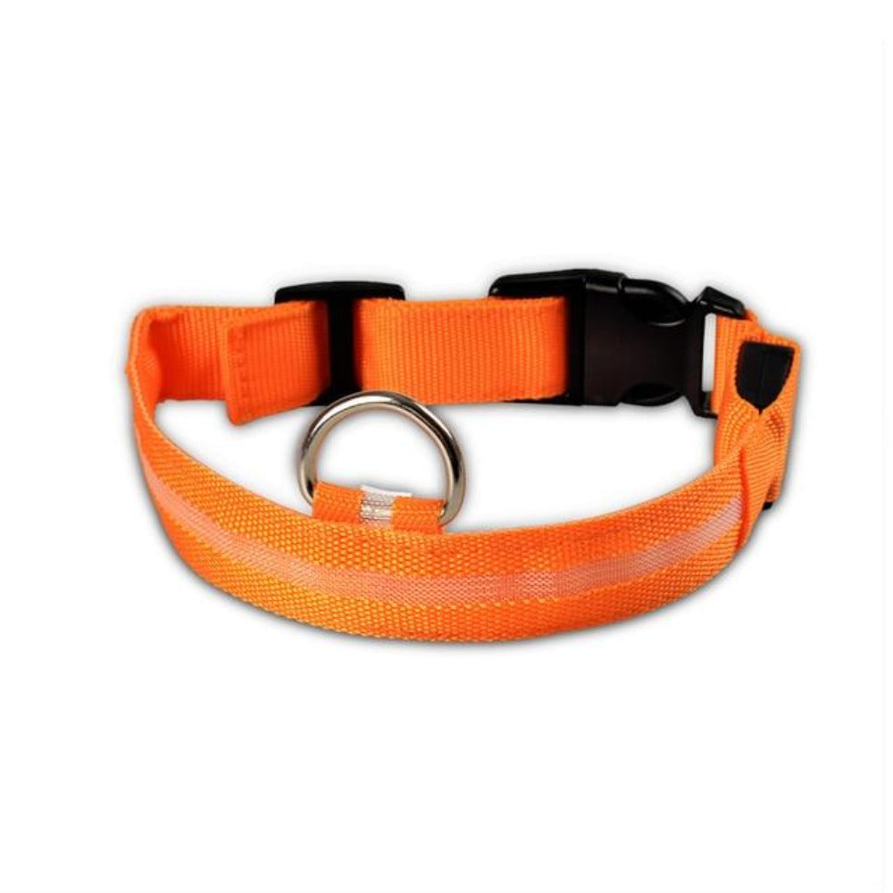 LED Light-Up Dog Collar Set – 2-Pack, 3 Light Modes