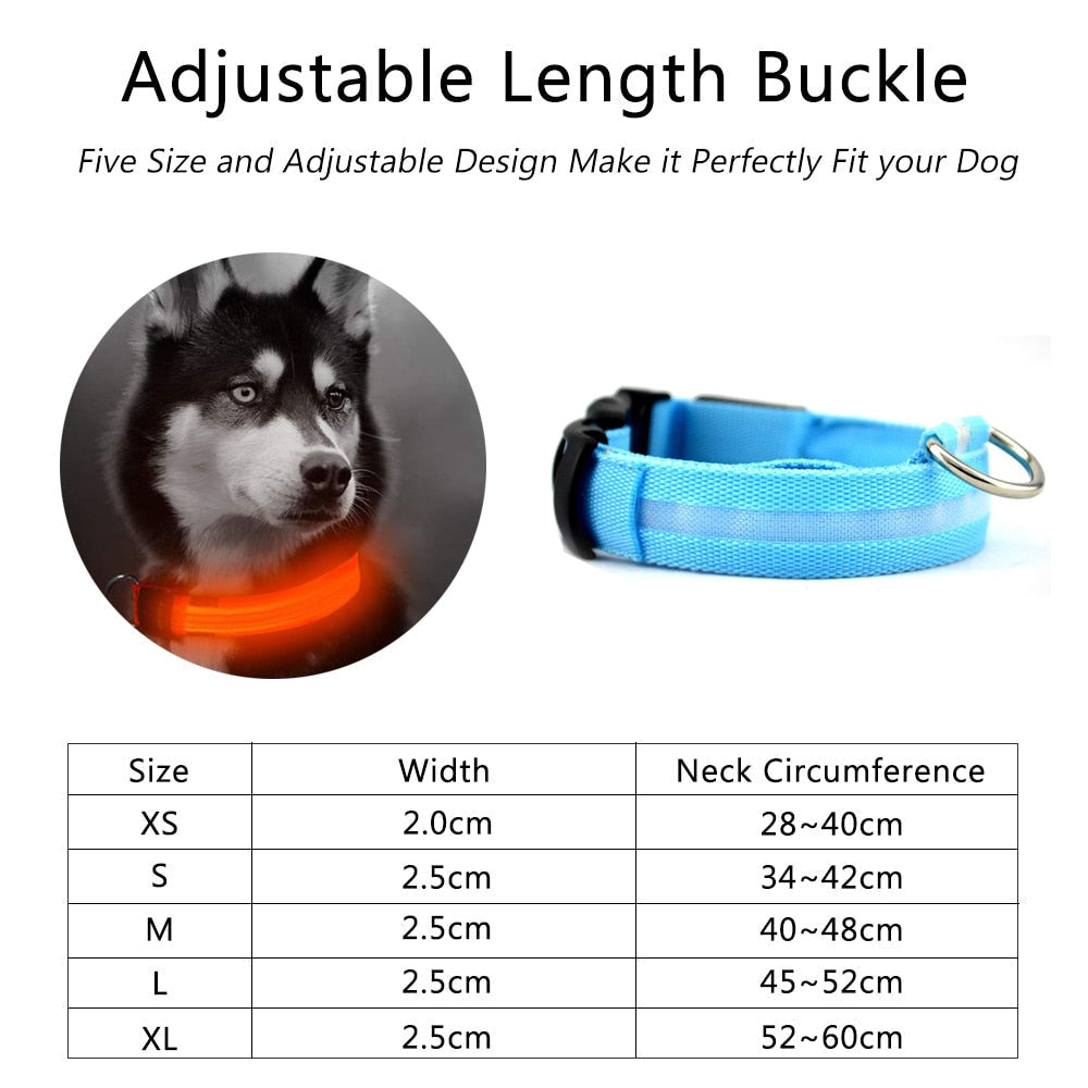 LED Light-Up Dog Collar Set – 2-Pack, 3 Light Modes